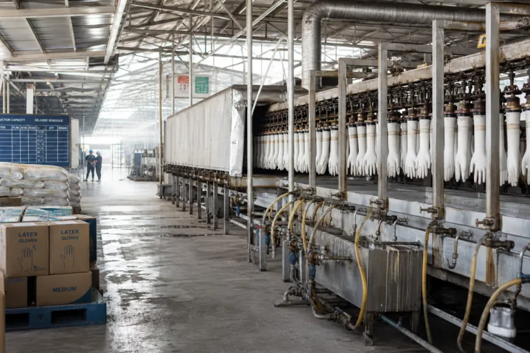Thailand’s Medical Glove Industry Rebounds on Strong Global Demand and Rising Rubber Prices