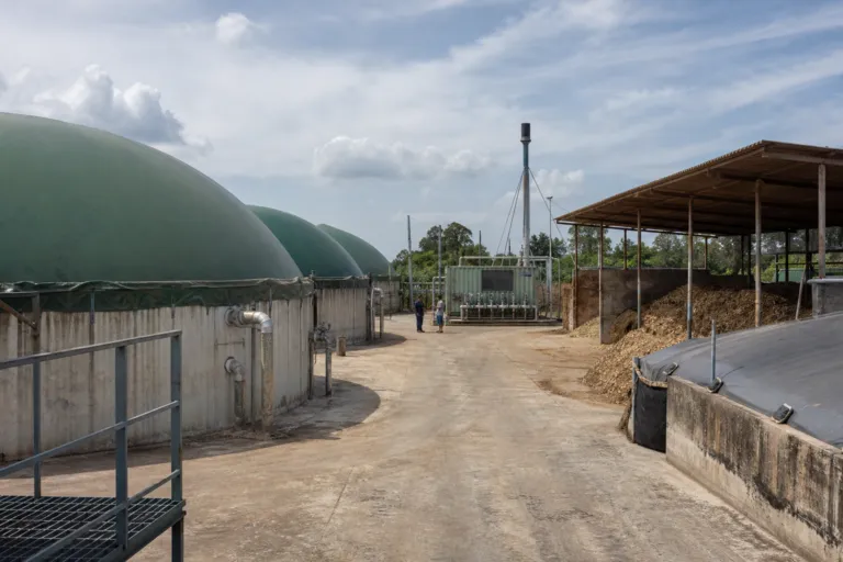 Thailand Biogas Industry Gains Momentum From Farm Waste and BOI Clean Energy Incentives