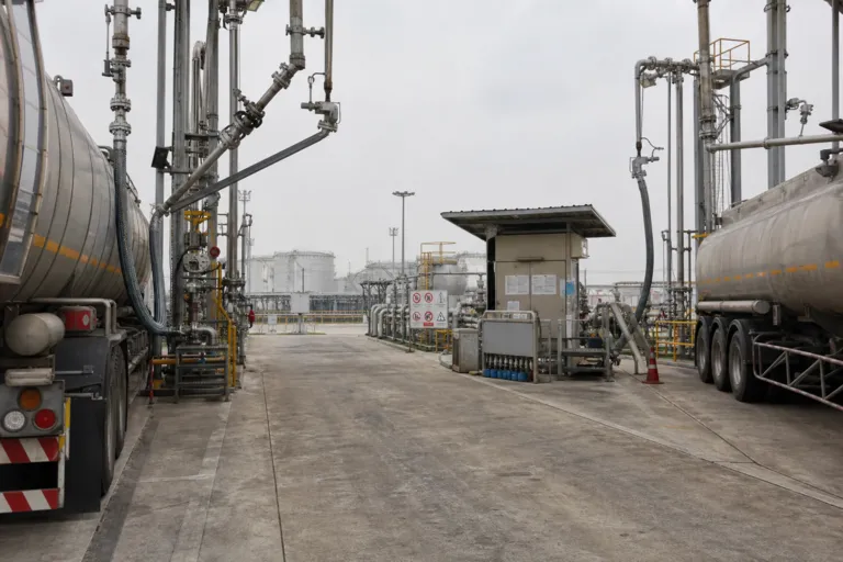 Thailand Palm Oil Industry on Alert: B50 Mandate Shock and Stricter Diesel Import Rules