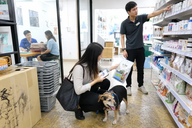 Pet Humanization Is Reshaping the Thailand Pet Care Market With Heart and Higher Standards