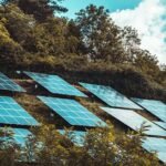 Green Power: Pioneering Renewable Energy Initiatives in Thailand