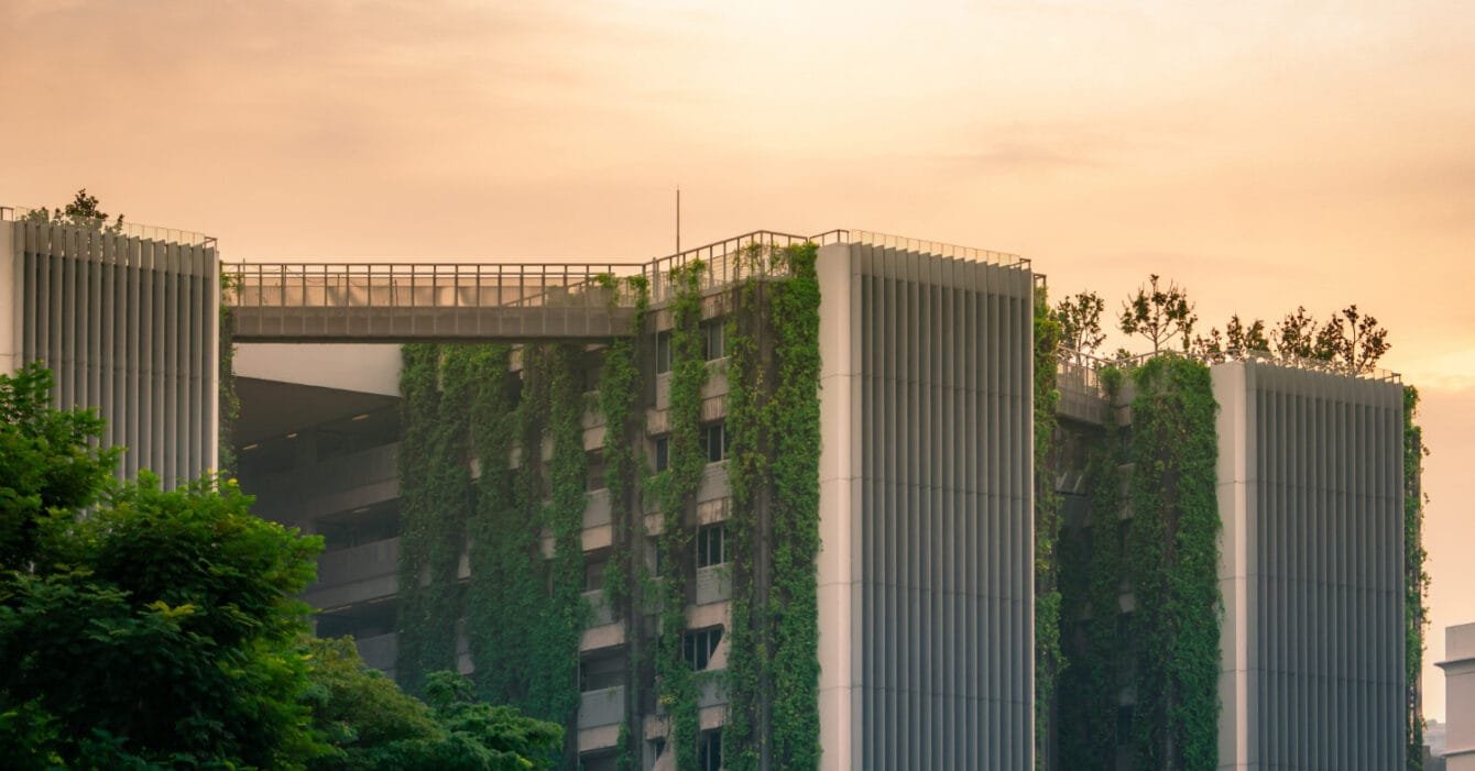 Thailand Sustainable Materials Adoption: Modern building with green ivy walls at sunset.