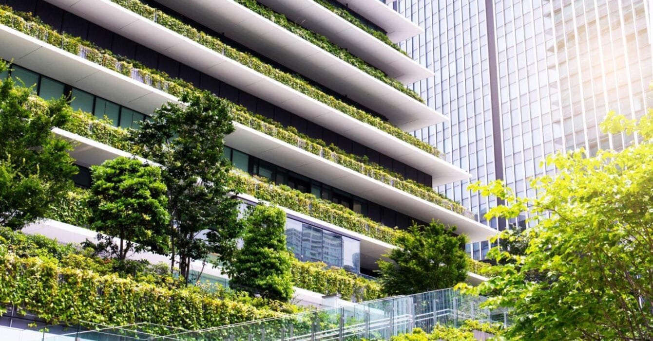 Thailand Green Building Movement: Modern buildings with green terraces among trees, under sunlight.