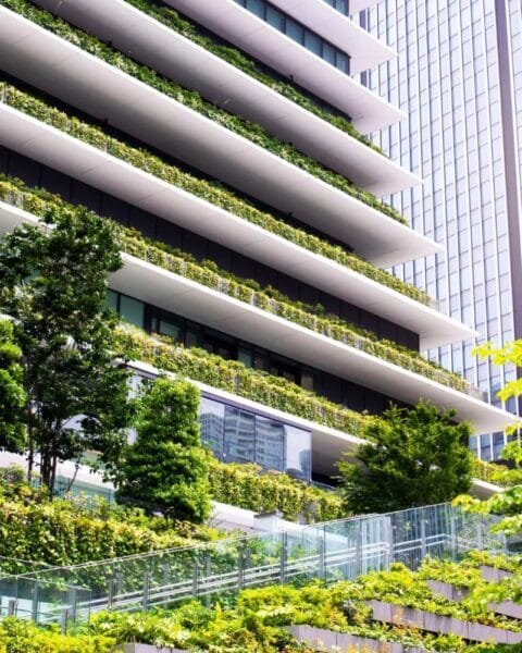 Thailand Green Building Movement: Modern buildings with green terraces among trees, under sunlight.